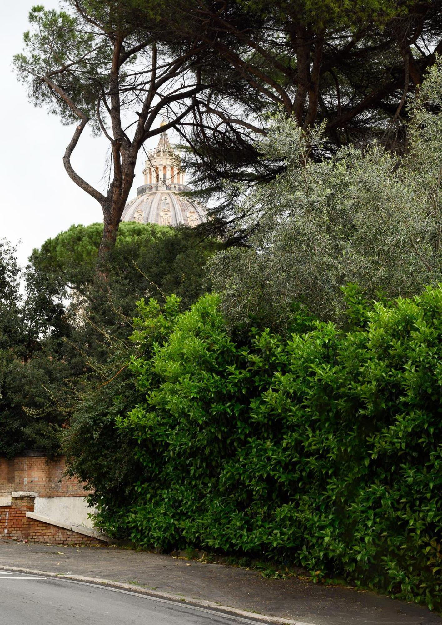 Magnoliahome Alla Cupola Di San Pietro ローマ エクステリア 写真